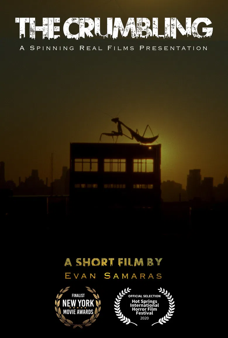 The Crumbling poster background