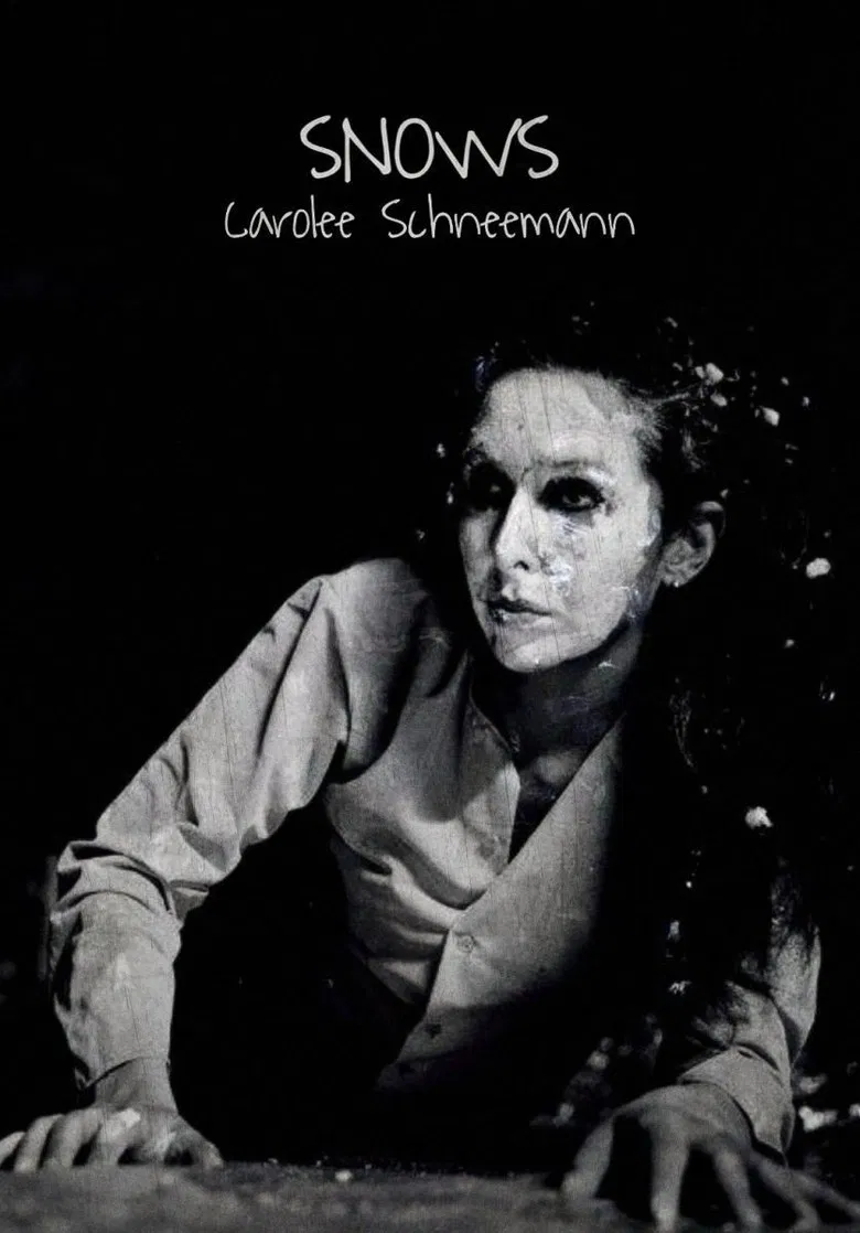 Snows poster background