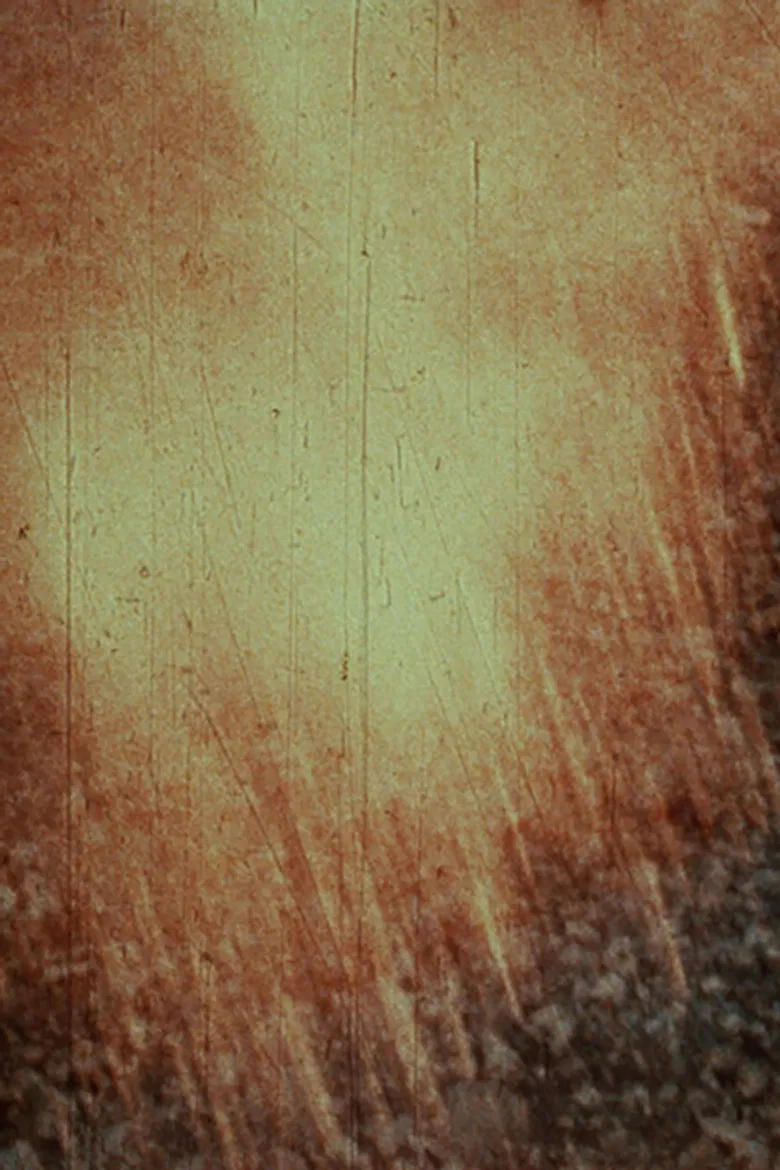 My Dear Evaporant, poster background