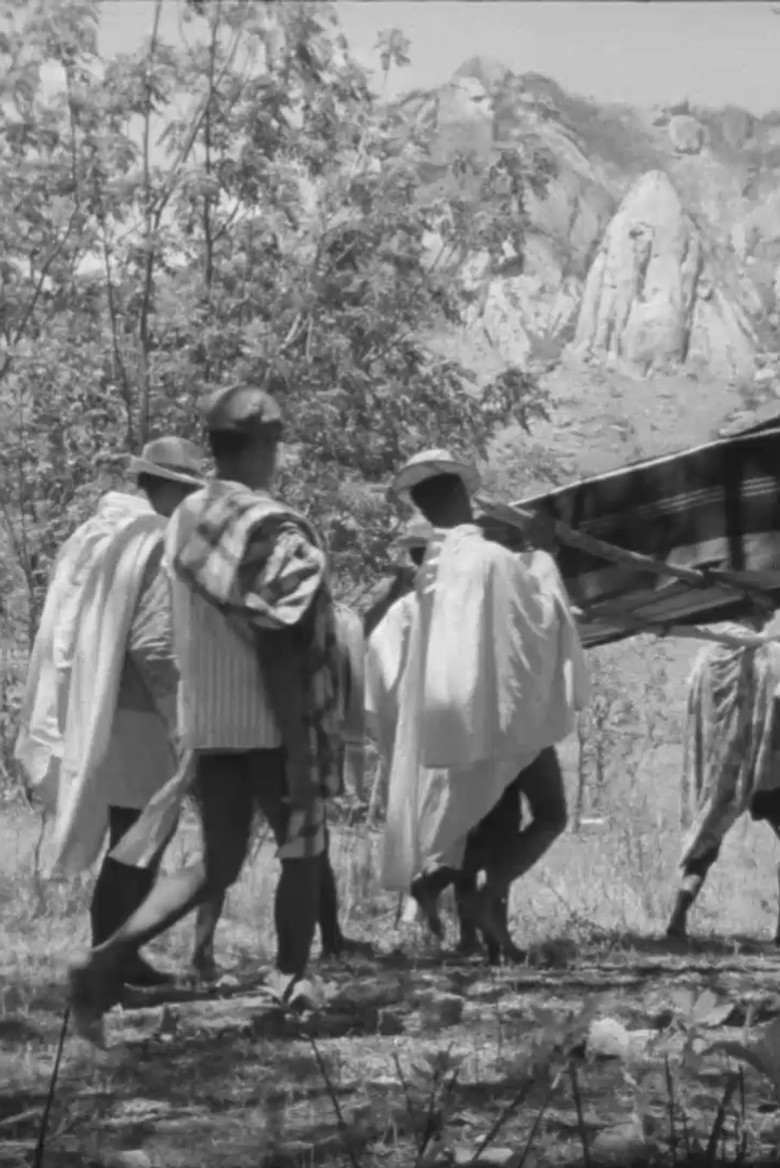 Sud poster background