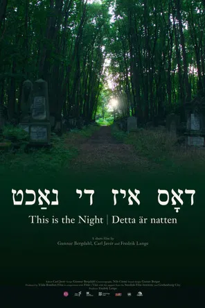 This Is the Night poster background