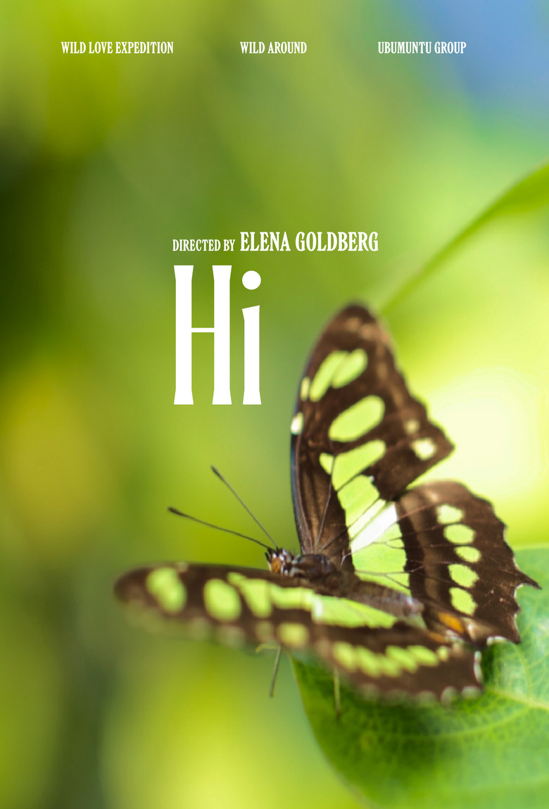 Hi (2025/II) poster background