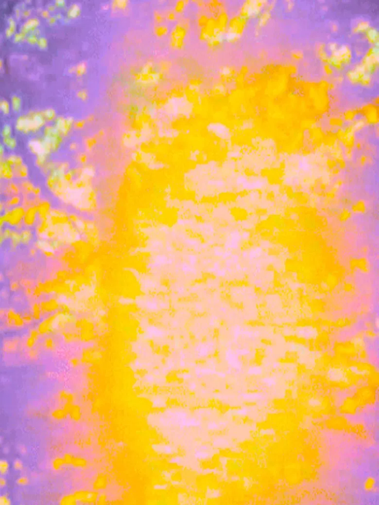 Waking a Dream poster background