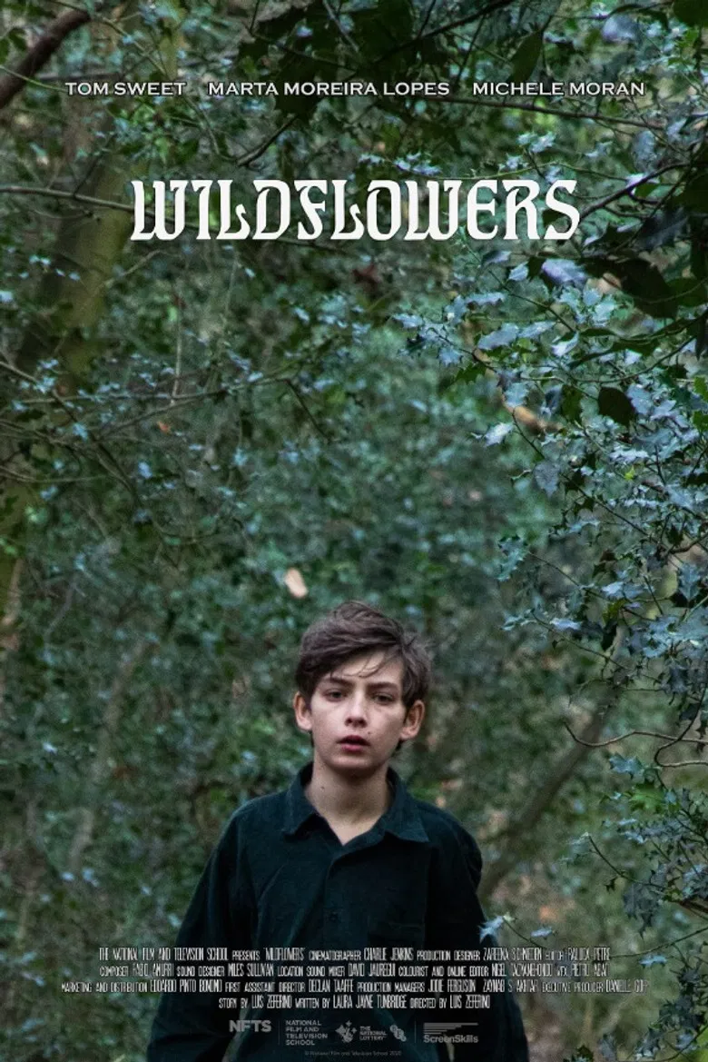 Wildflowers poster background