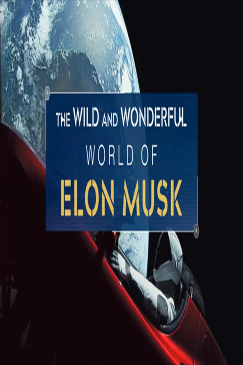 The Wild and Wonderful World of Elon Musk poster background
