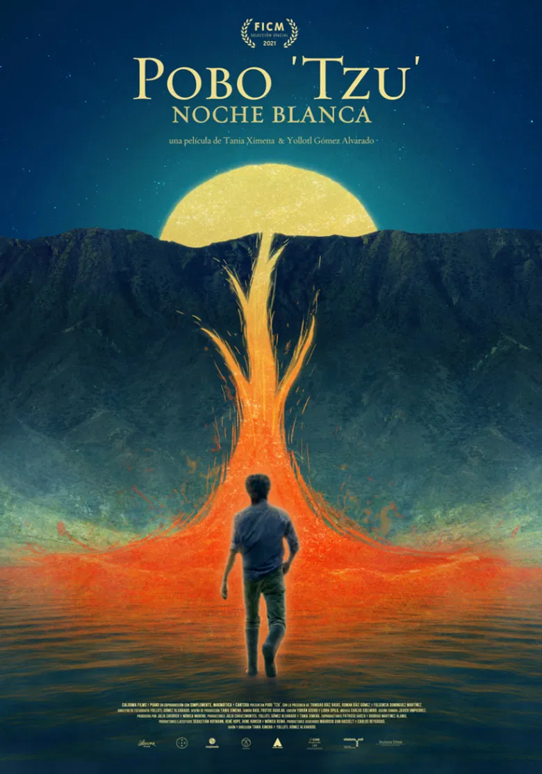 White Night poster background