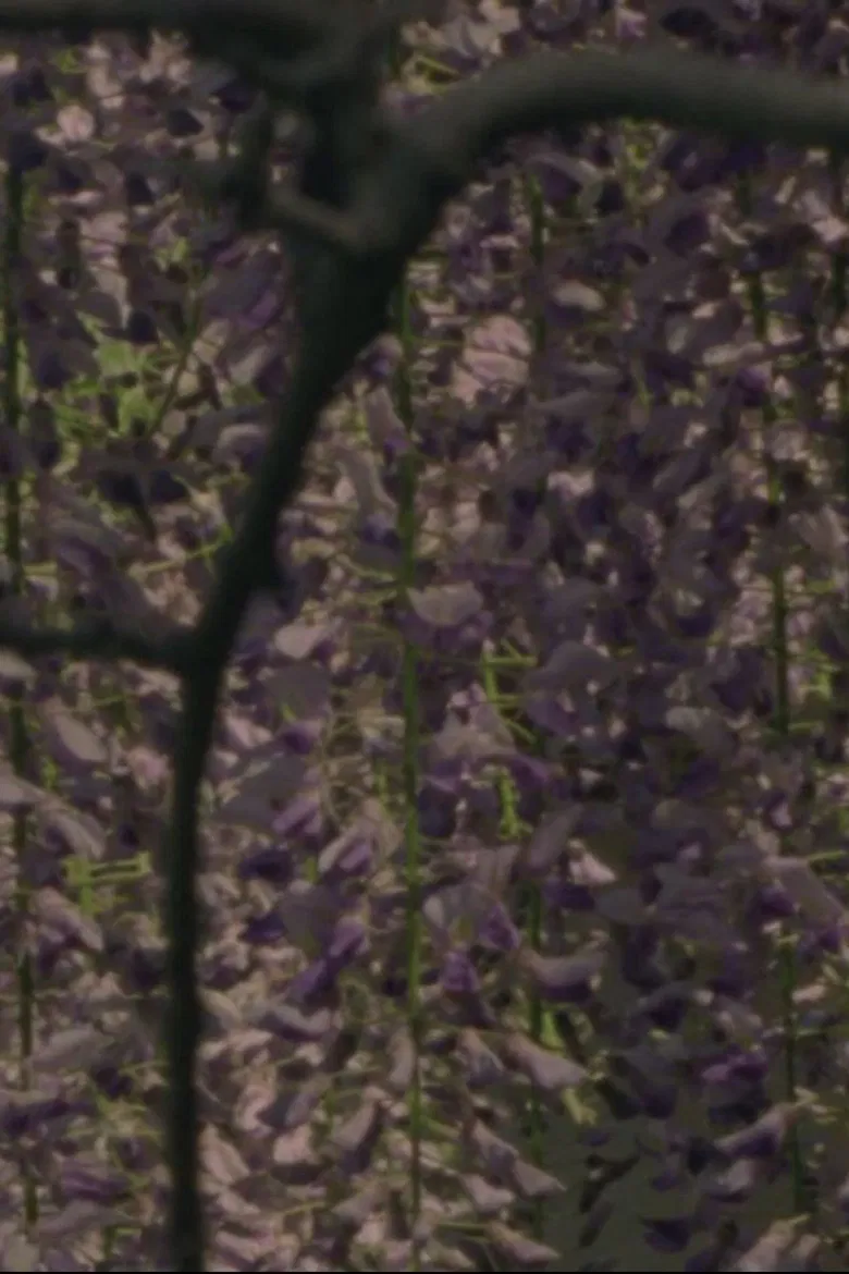 Spring Songs poster background