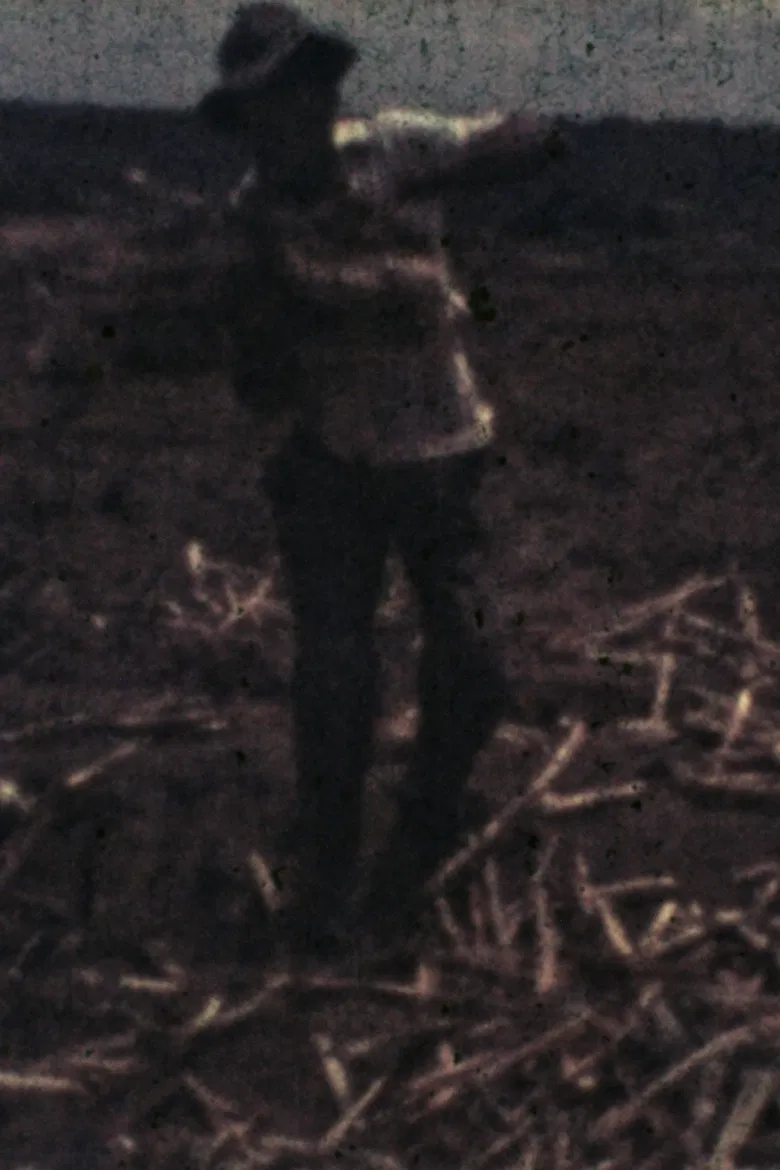 Bangüê poster background