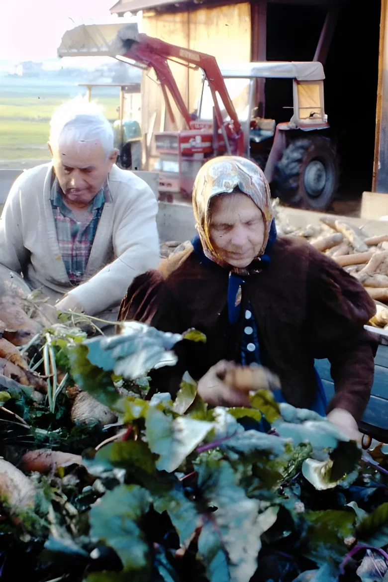 Drei Bauern unter einem Hut poster background