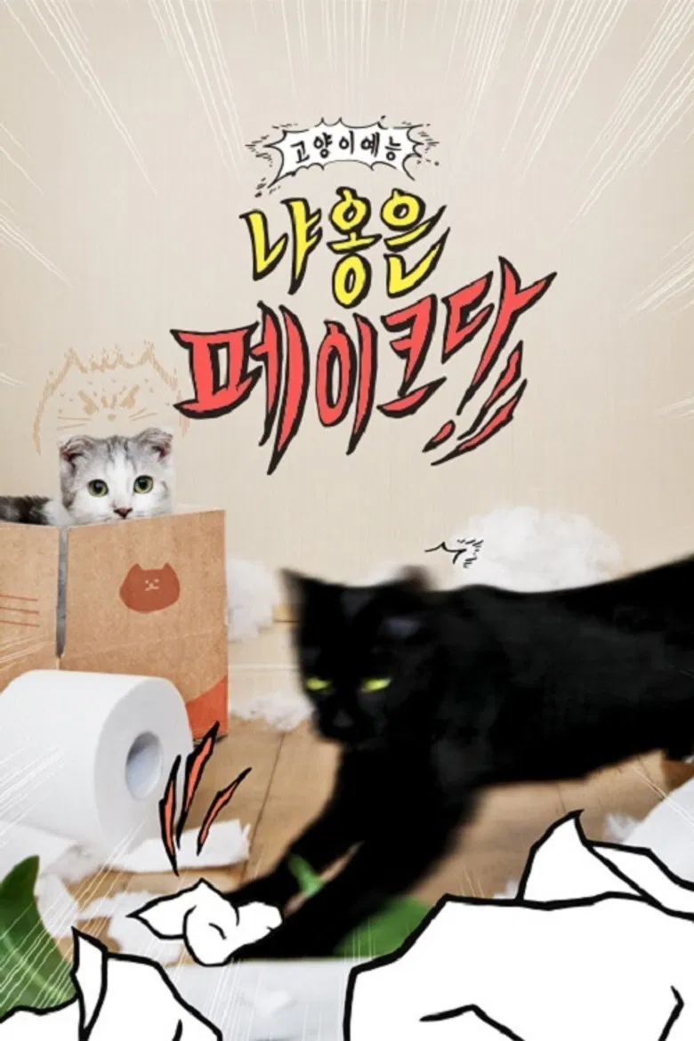 Decoding Meow poster background