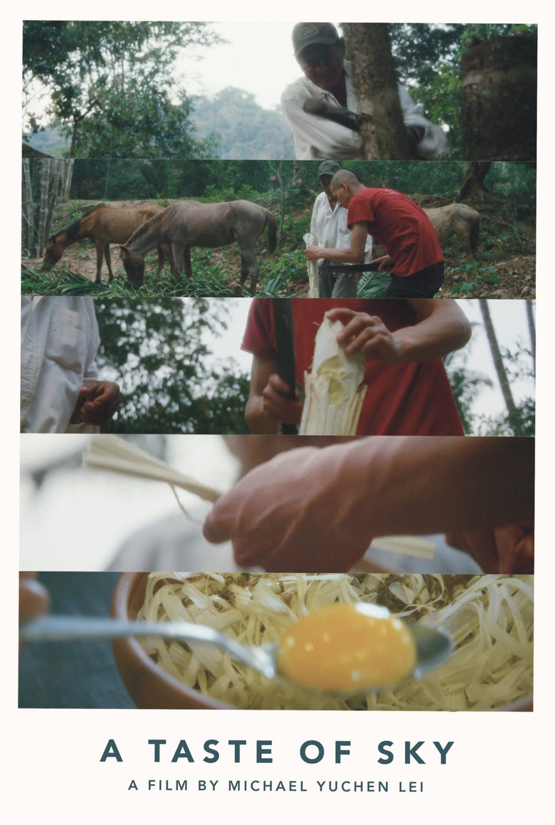 A Taste of Sky poster background