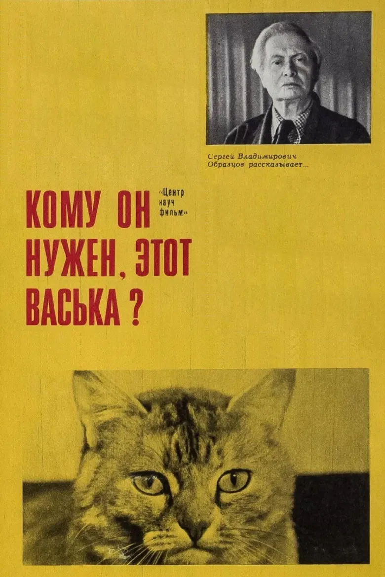 Who Needs This Vaska Anyway! poster background