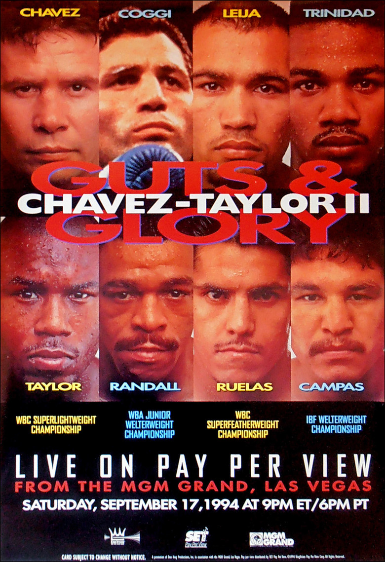 Julio César Chávez vs. Meldrick Taylor II poster background