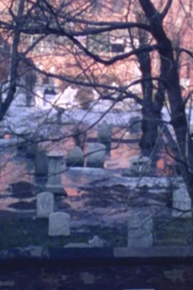 226-1690 poster background