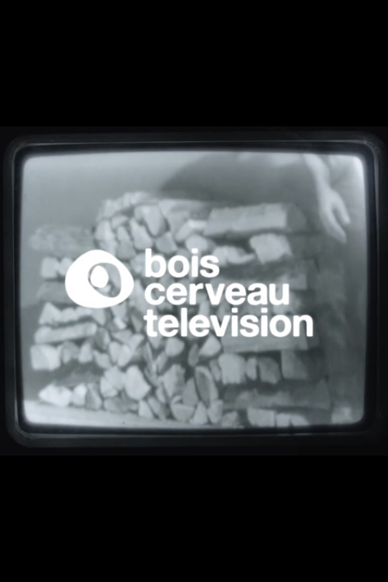 BOIS CERVEAU TV (1) poster background