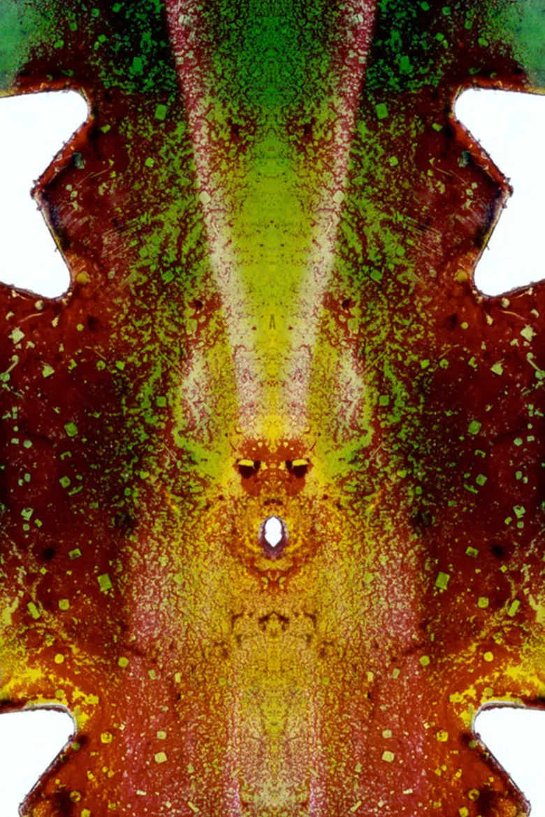 My Stars poster background