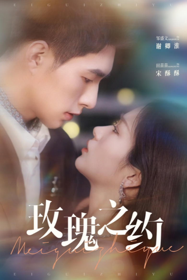 玫瑰之约 poster background