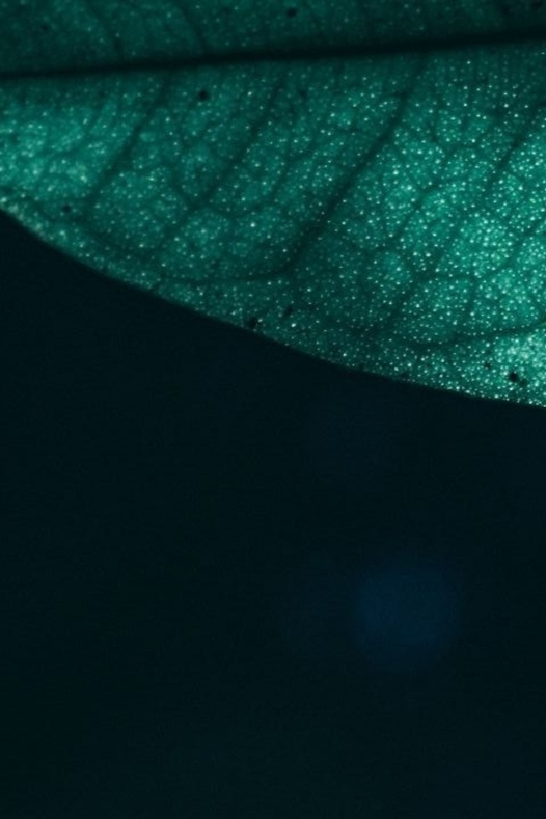 Y/changes? poster background