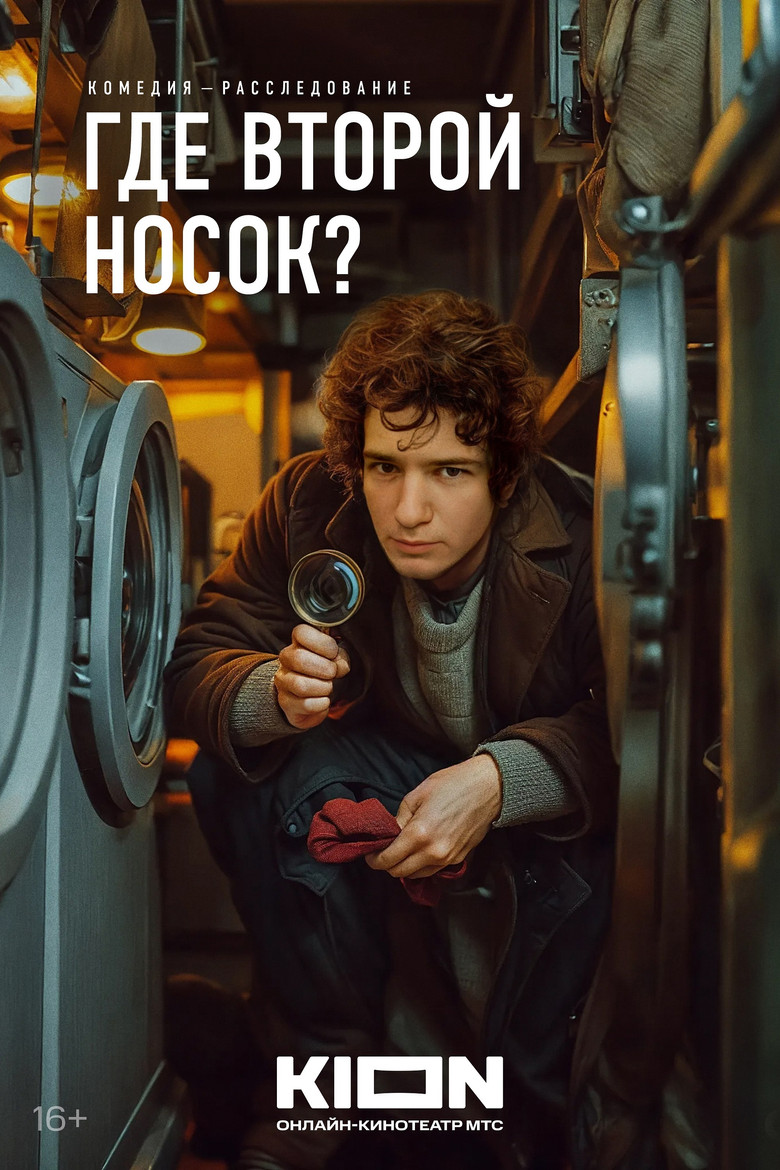 Где второй носок? poster background