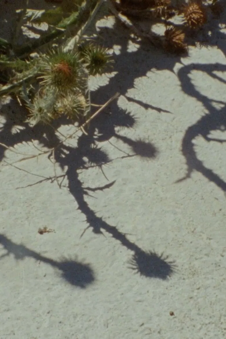 Subir e sumir poster background