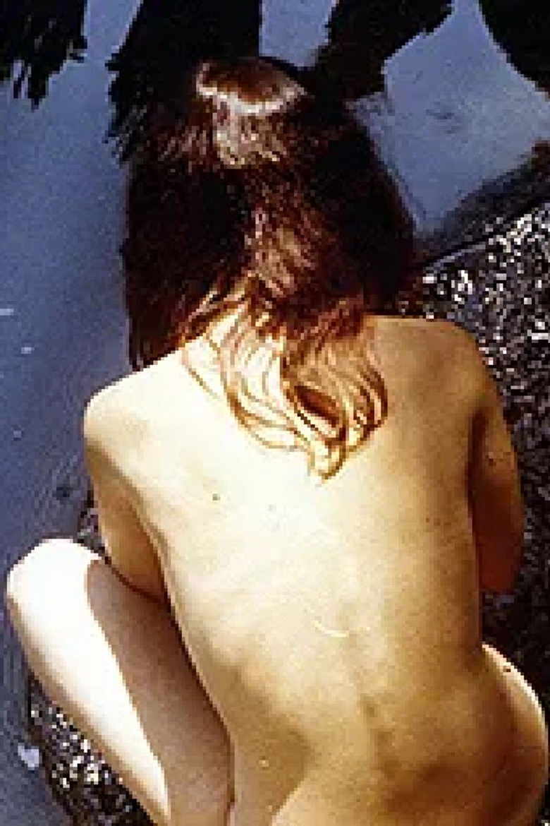 False Pretenses poster background