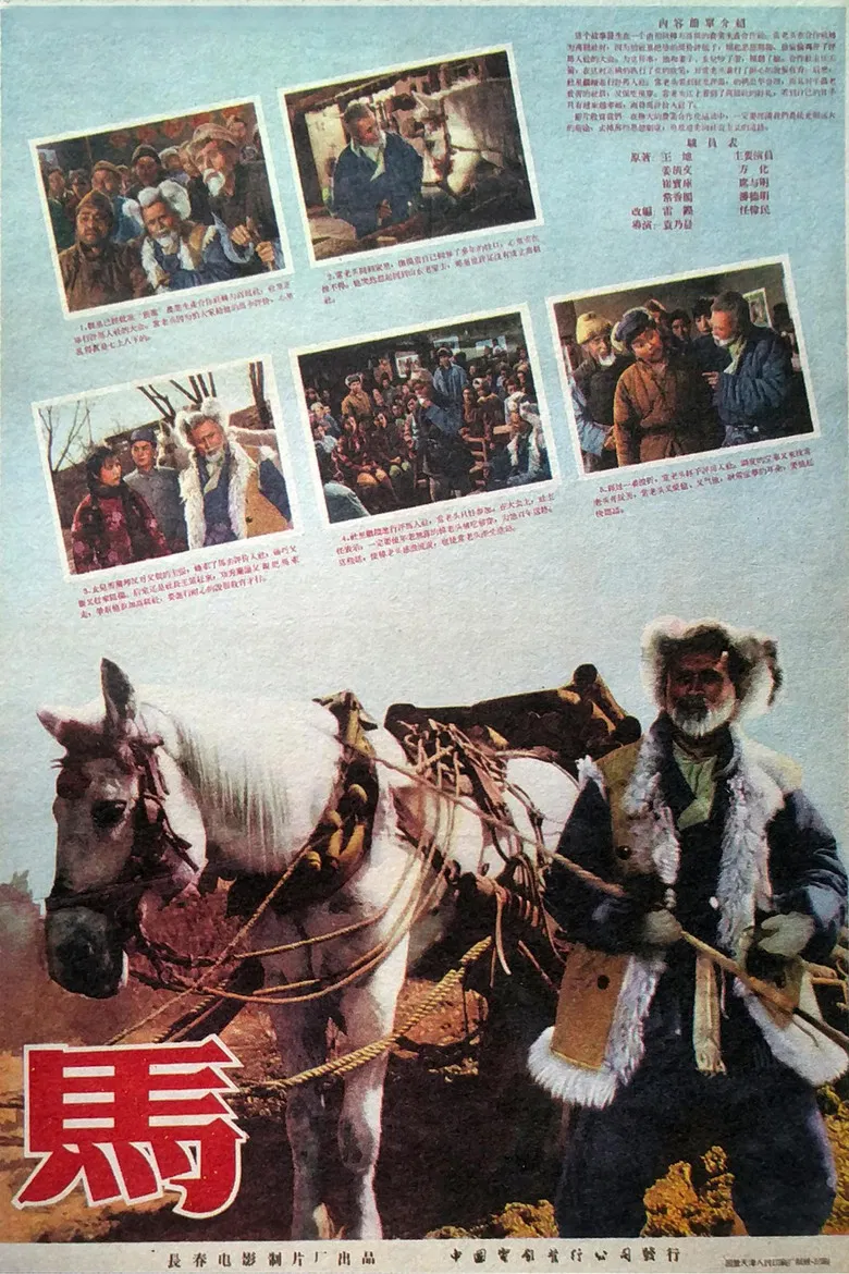 马 poster background