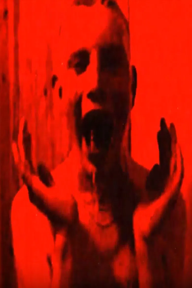 Savisilta poster background