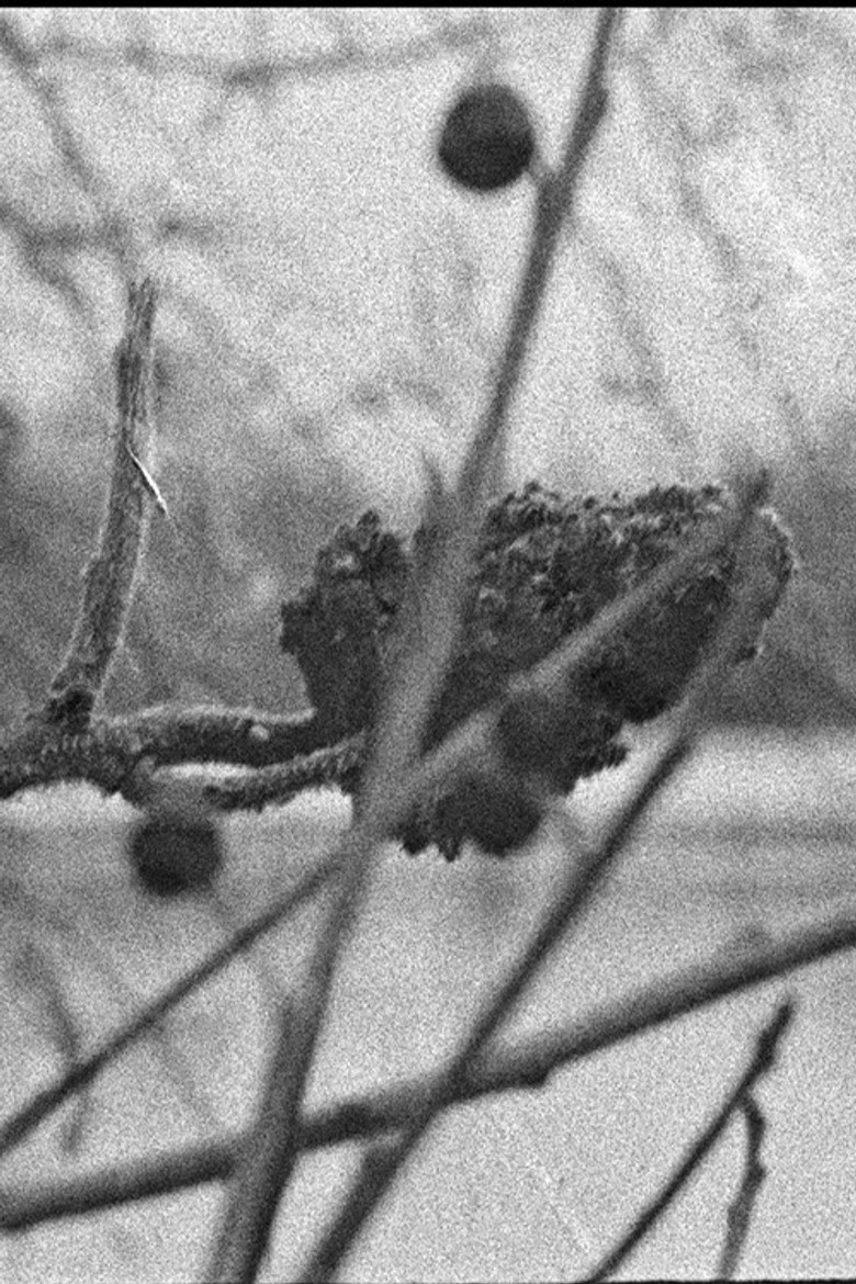 River poster background