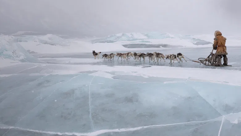 The sled team racing against the backdrop of mountains