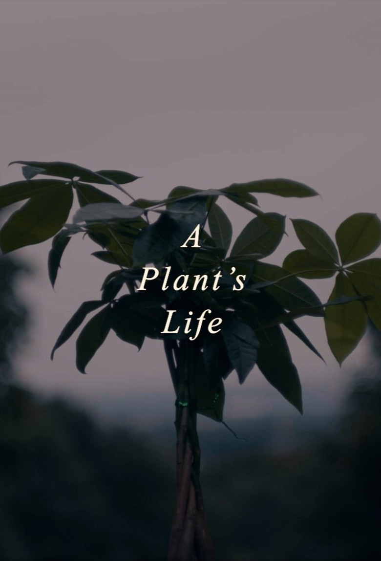 A Plant's Life poster background