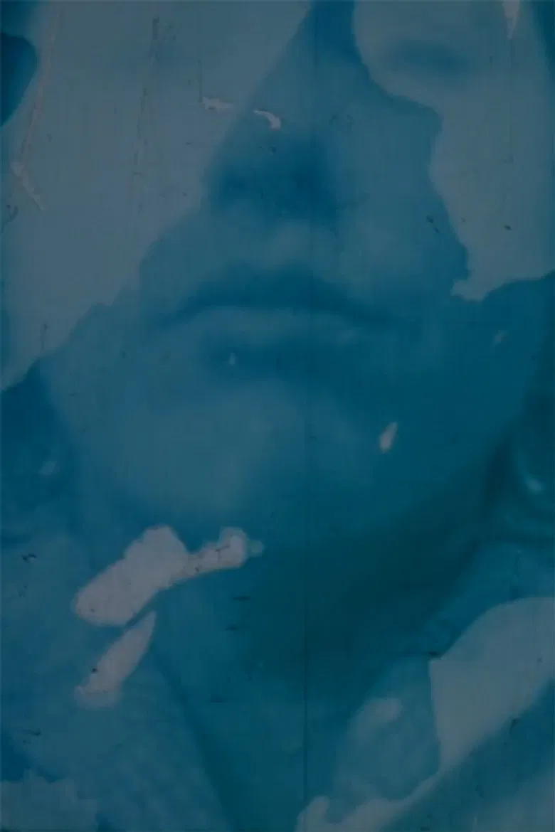 Auto Portrait / Self Portrait Post Partum poster background