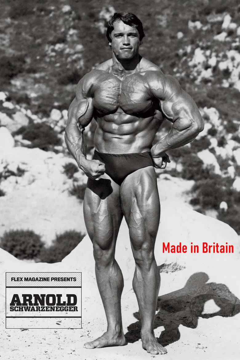 Arnold: Made in Britain poster background