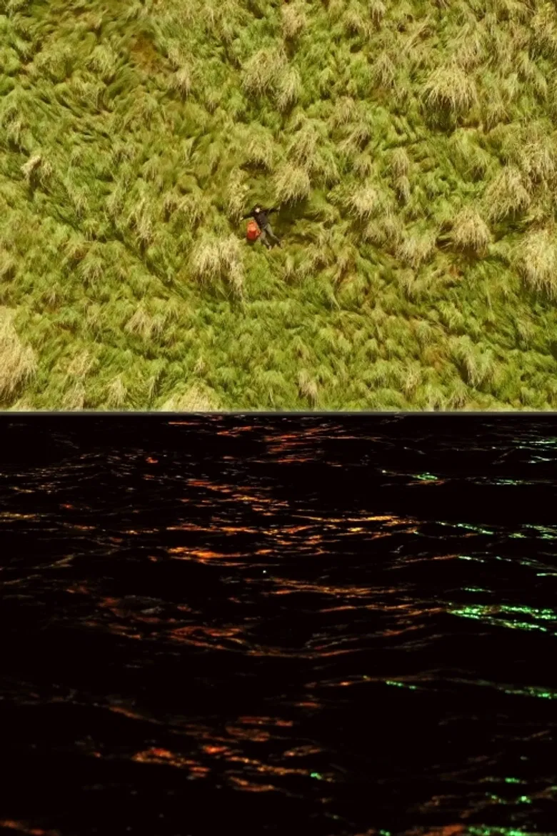 Lumina poster background