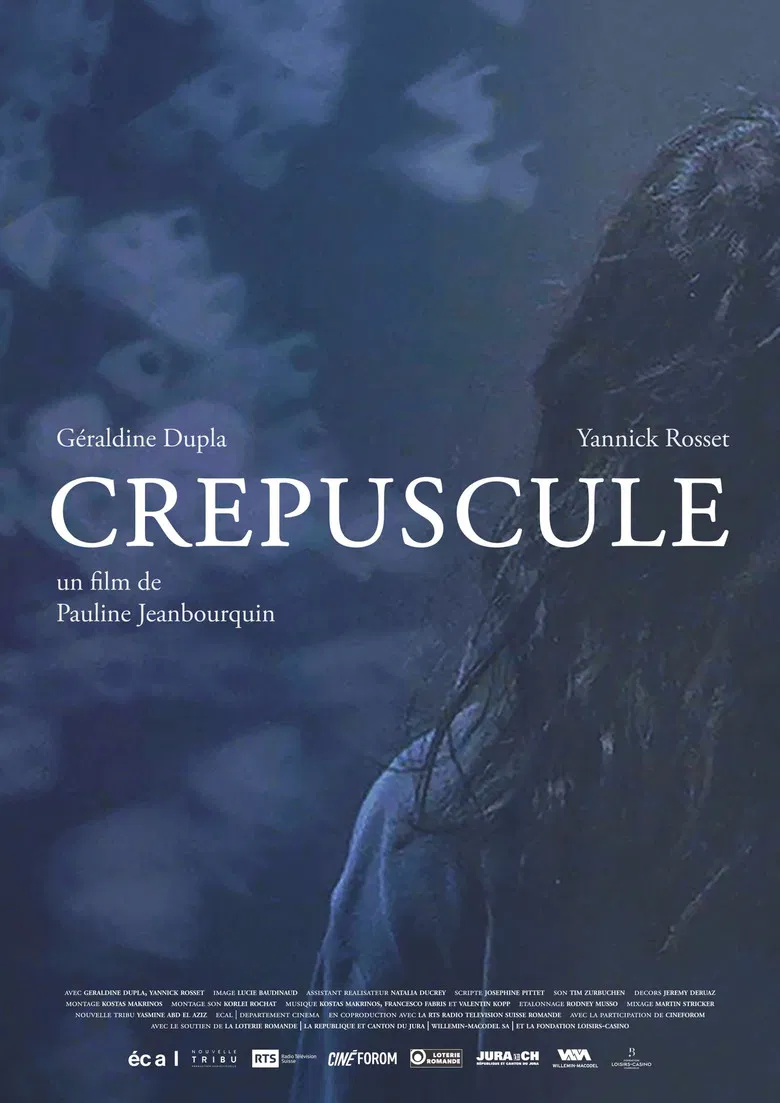 Crépuscule poster background