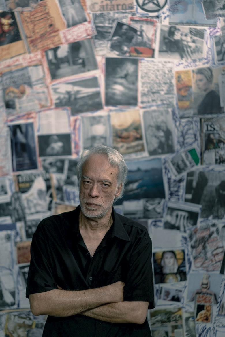 Fausto Fawcett na Cabeça poster background