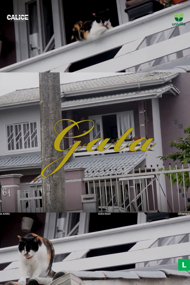 Gata poster background