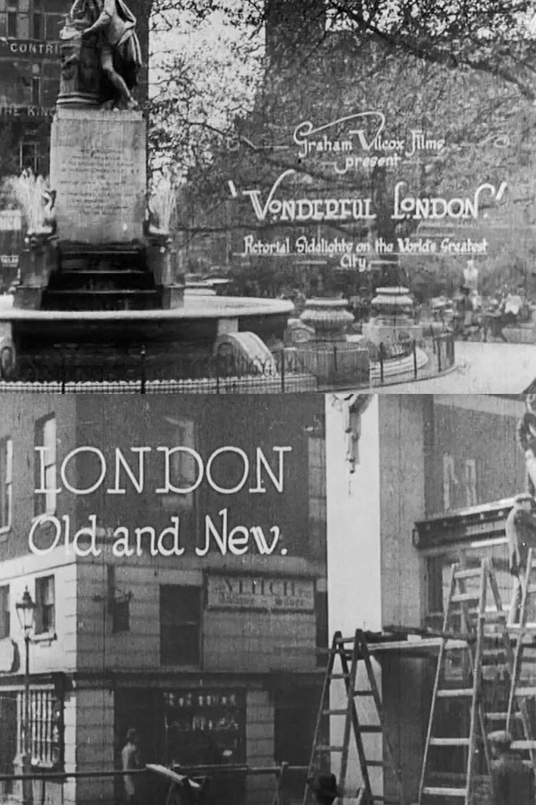 Wonderful London: London Old and New poster background