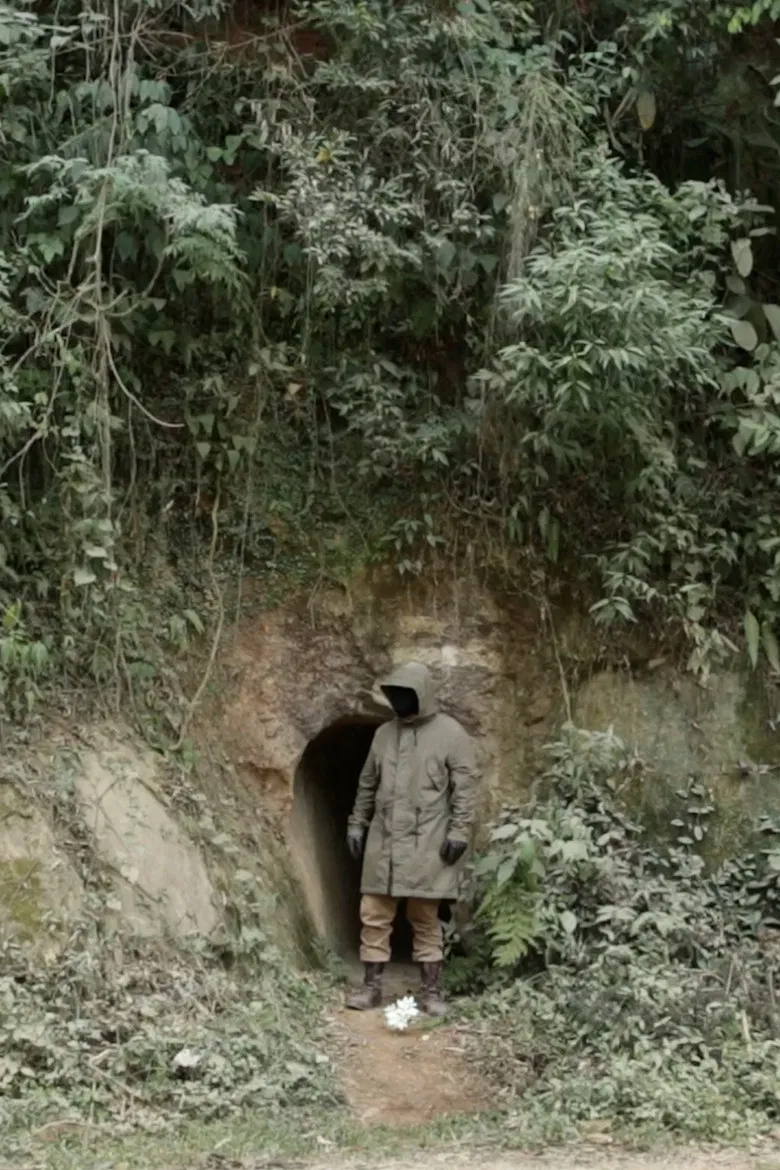 Alameda das Acácias poster background