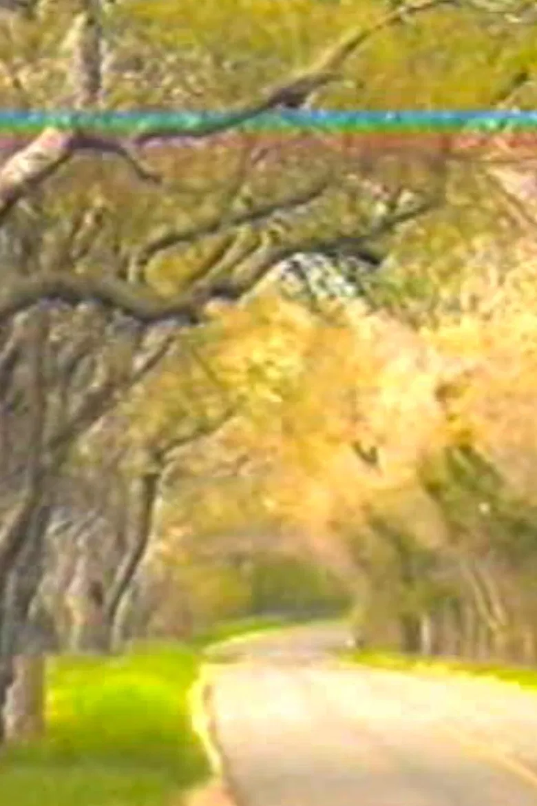 Brooding Angels poster background