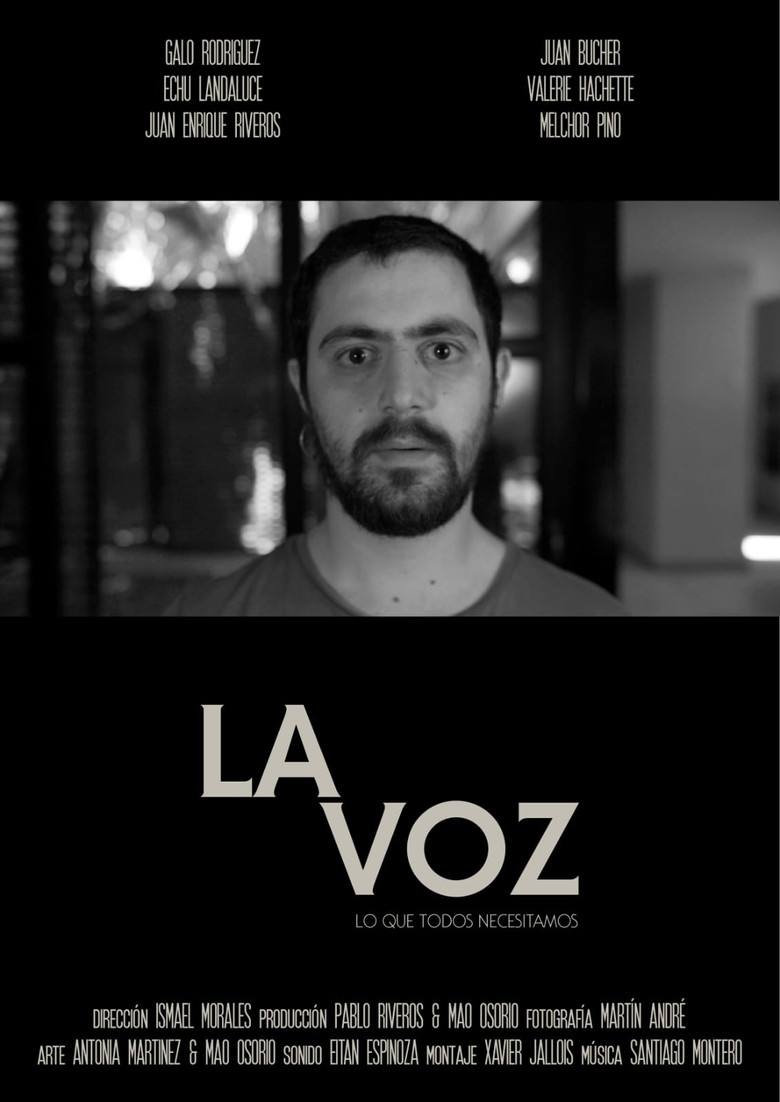 La Voz poster background
