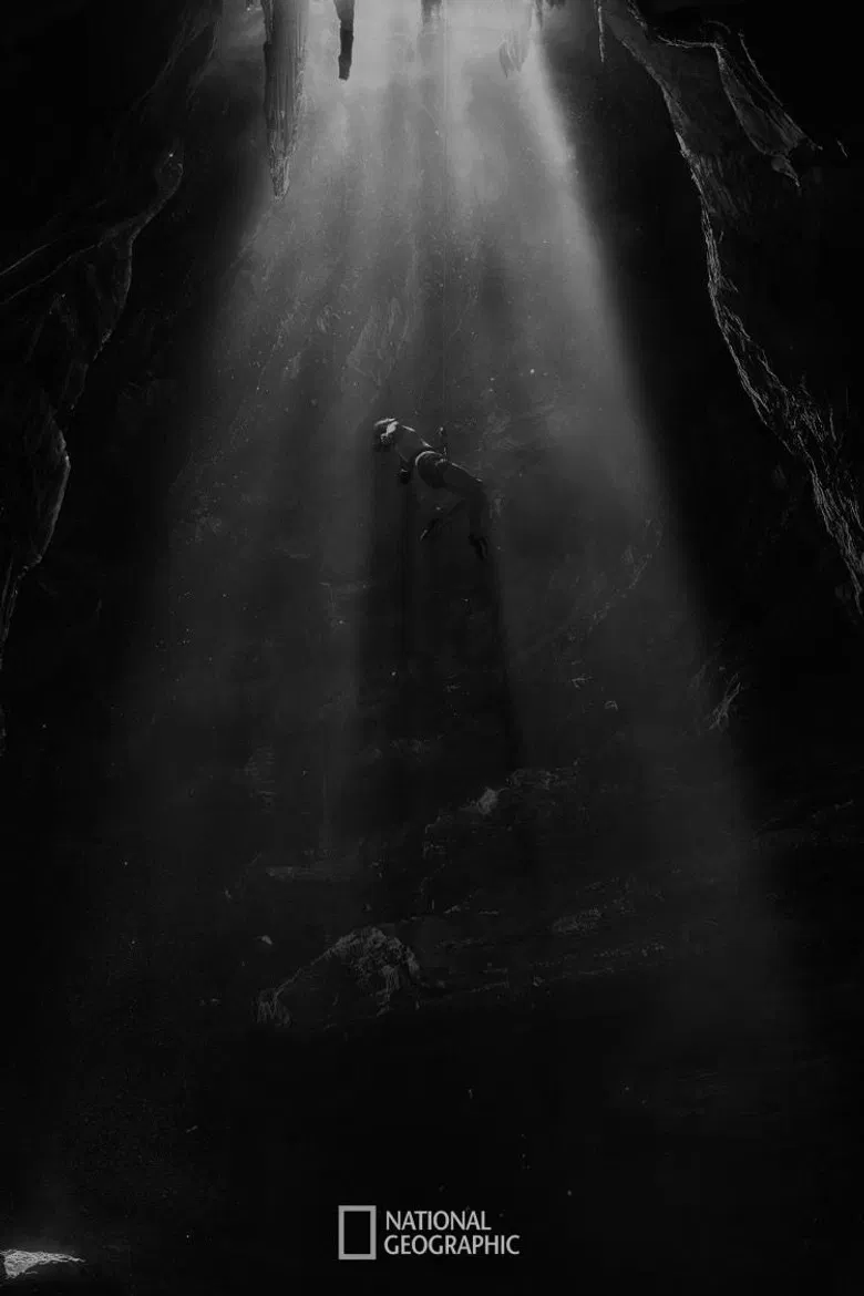 Wild Rio poster background