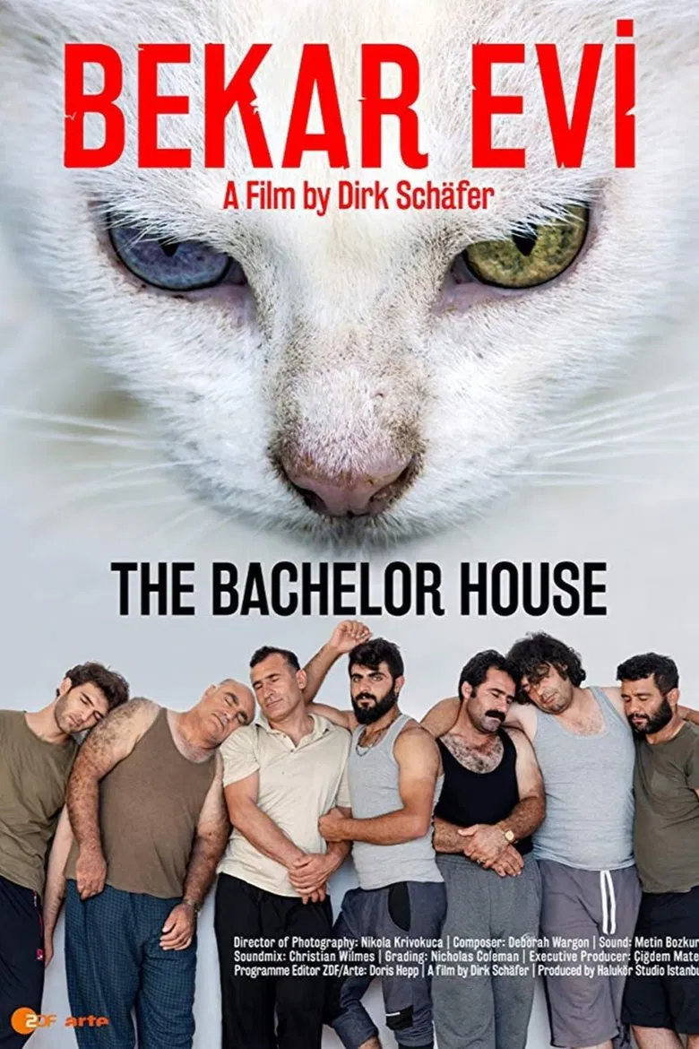 The Bachelor House poster background