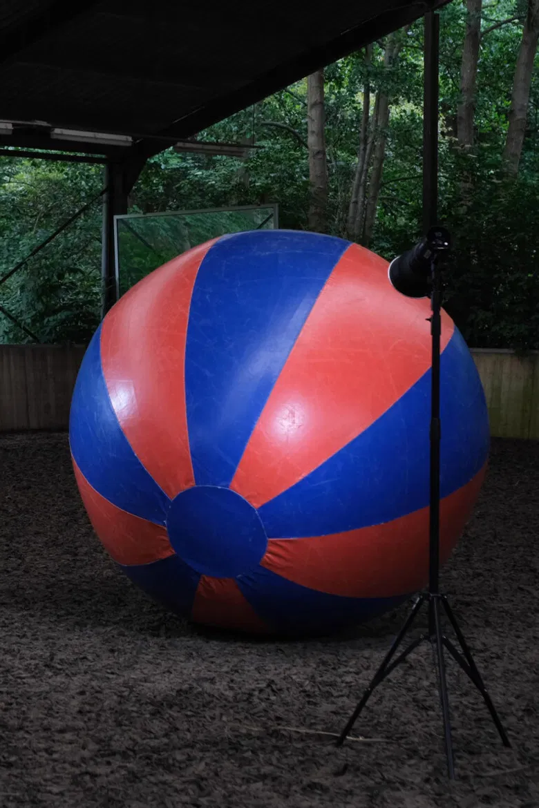 A horse is a horse of course of course poster background