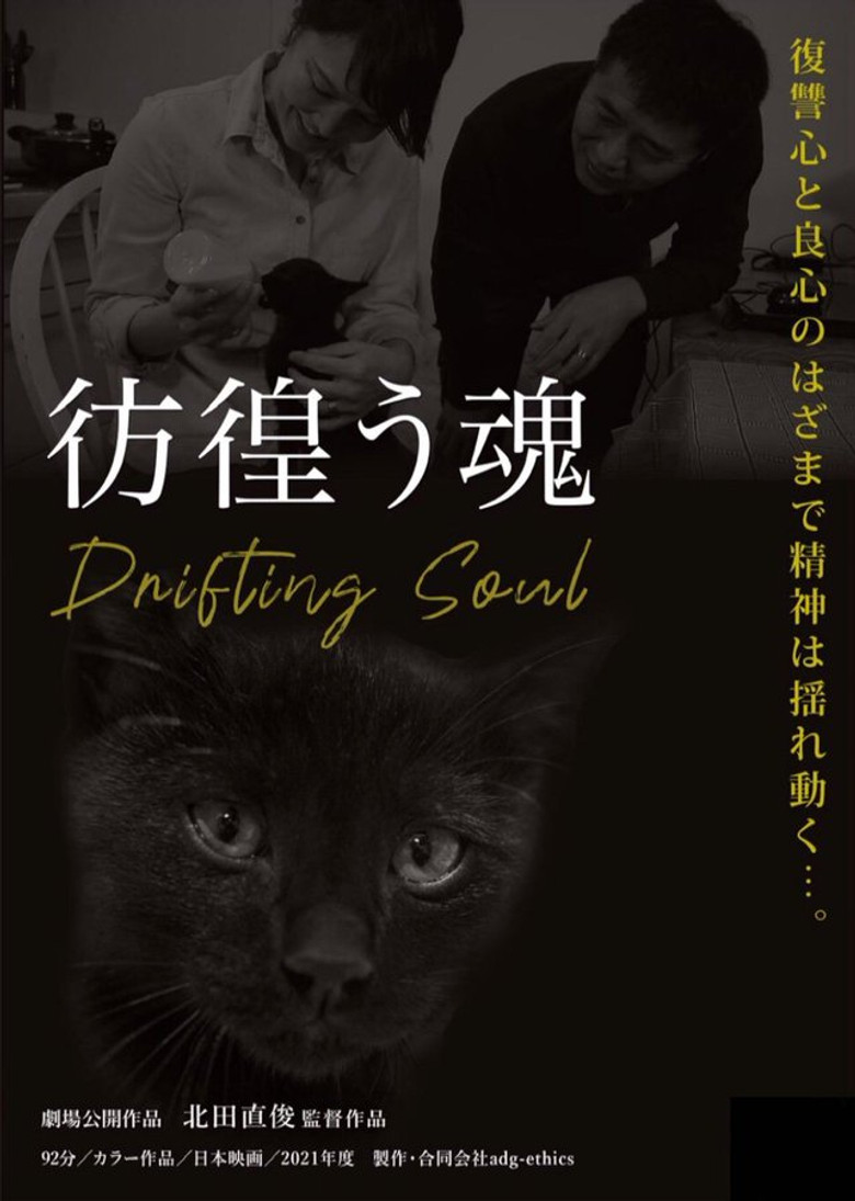 Drifting Soul poster background