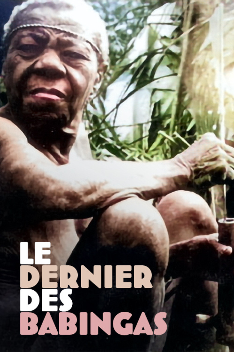 The Last of the Babingas poster background