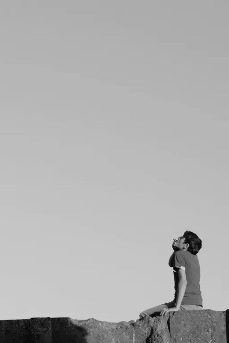 The Silence of Ani poster background