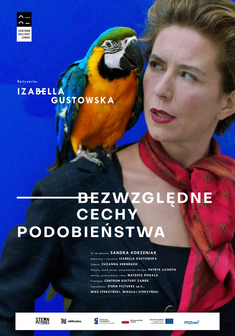 Absolute Similarities poster background