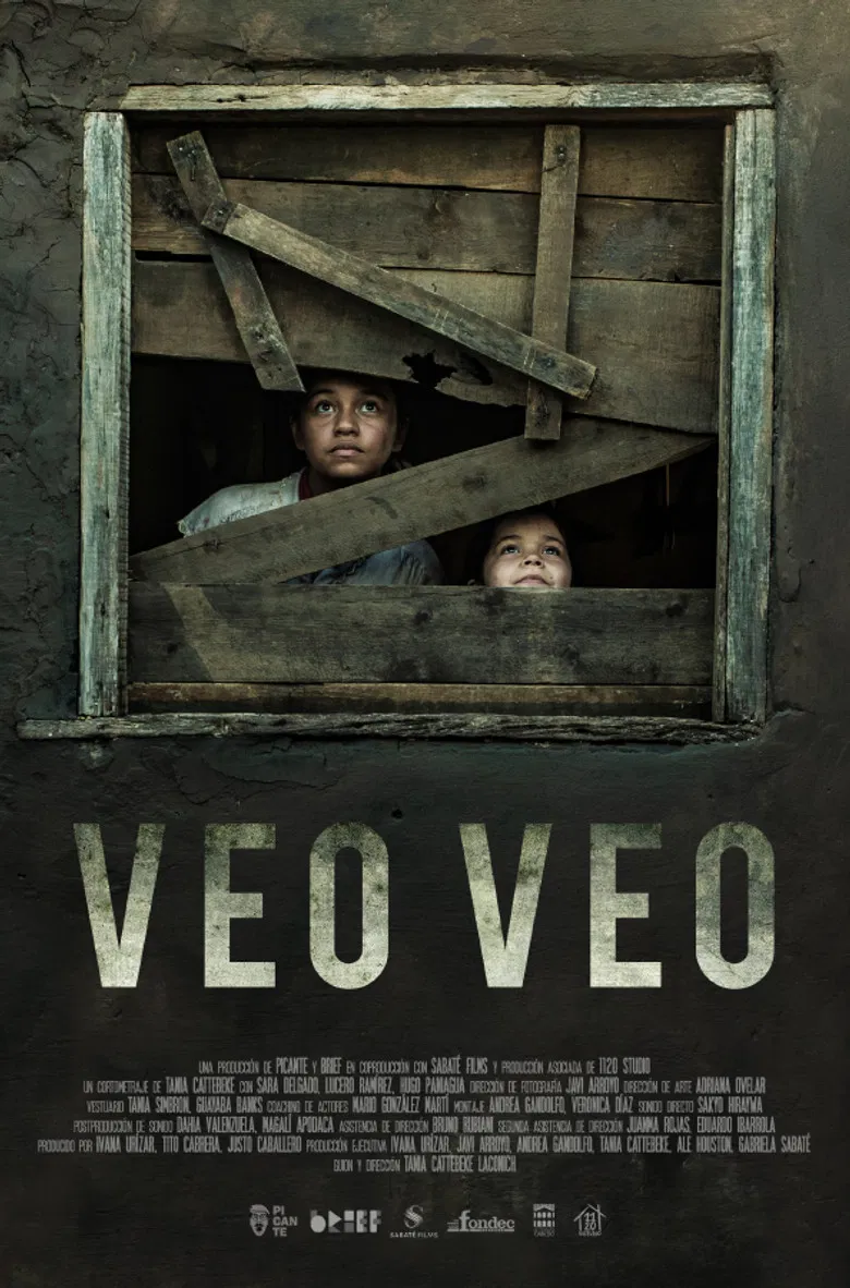 What Do You See? poster background