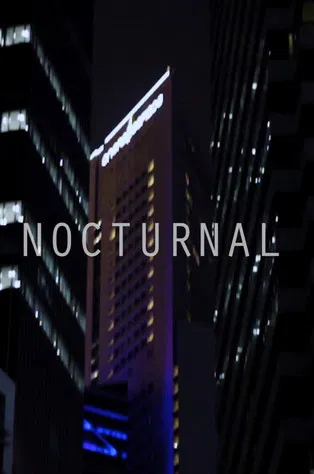 Nocturnal poster background