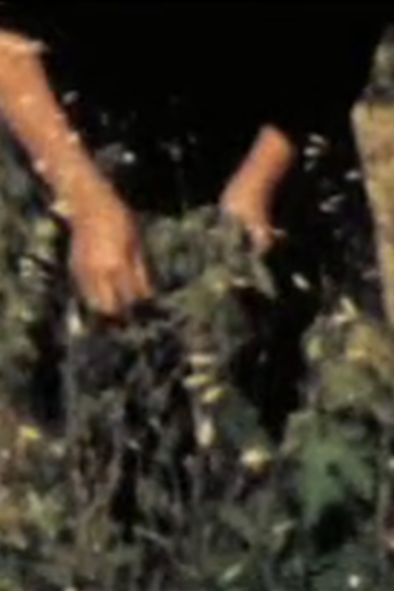 Stone Welcome Mat poster background